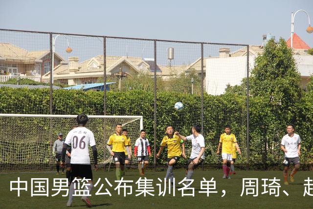 中国男篮公布集训名单，周琦、赵睿、张镇麟落选